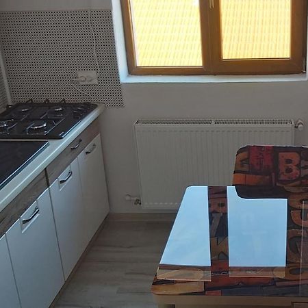 Studio Elisa Apartman Karánsebes Kültér fotó
