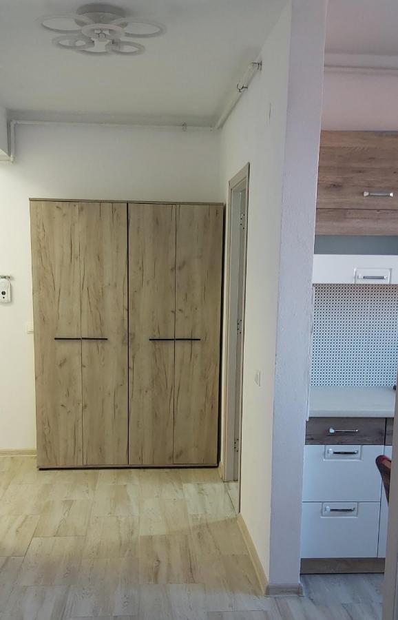 Studio Elisa Apartman Karánsebes Kültér fotó