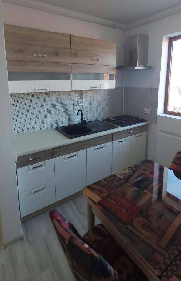 Studio Elisa Apartman Karánsebes Kültér fotó