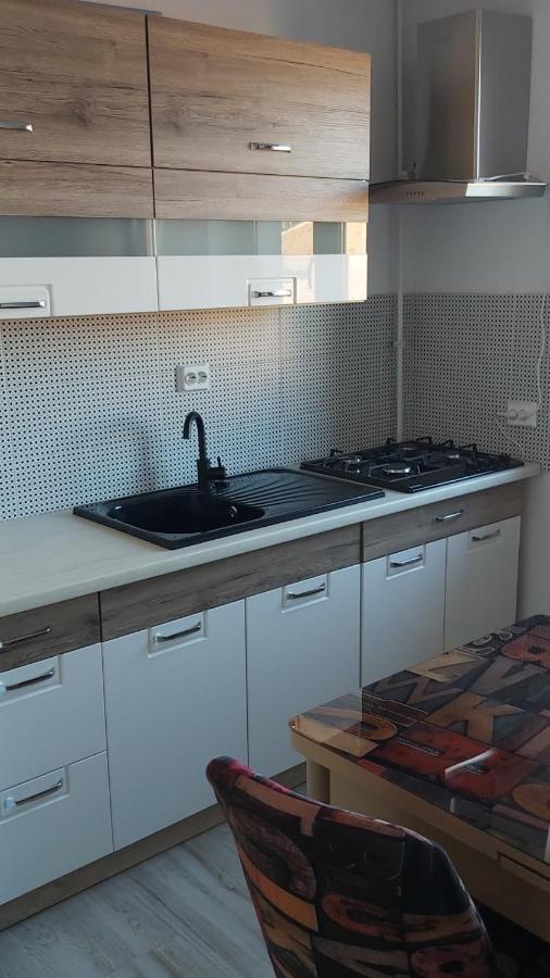 Studio Elisa Apartman Karánsebes Kültér fotó