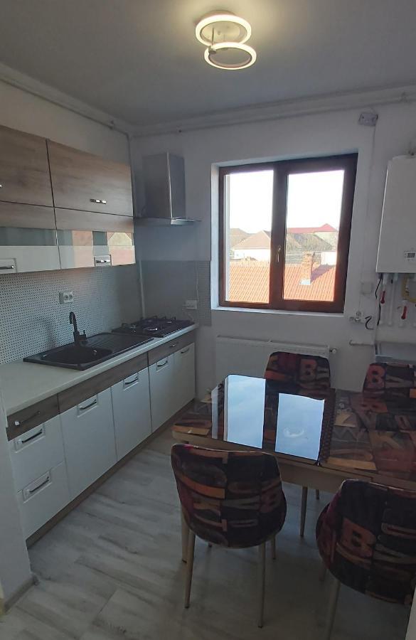 Studio Elisa Apartman Karánsebes Kültér fotó